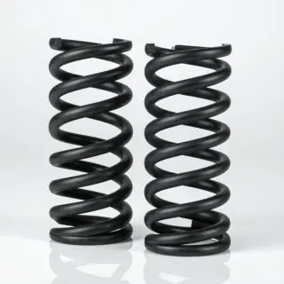 Coil Spring — Rear Pair